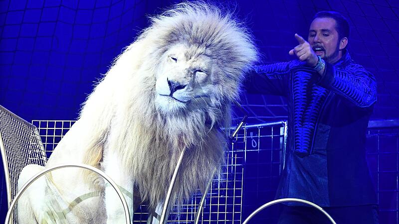 Martin Lacey jr. und ein weißer Löwe zeigen ihre Dressur bei der Pressevorstellung der Circus Krone Premiere „New Memories“ im Münchner Kronebau.