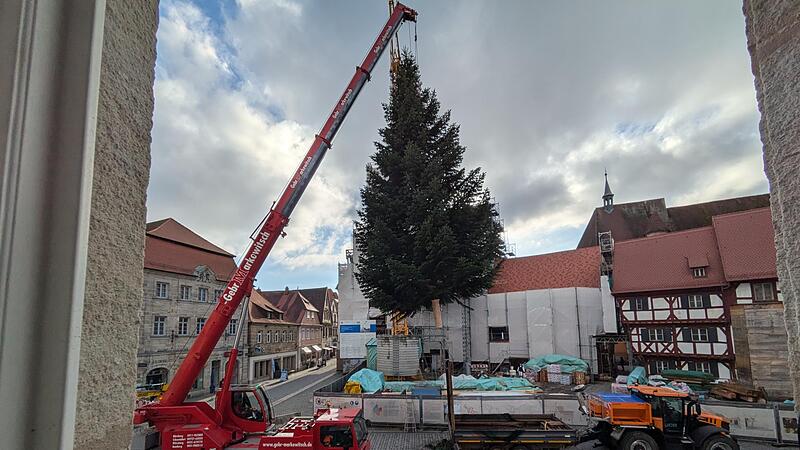 Am Dienstag wurde am Forchheimer Rathausplatz der Weihnachtsbaum 2024 aufgestellt.