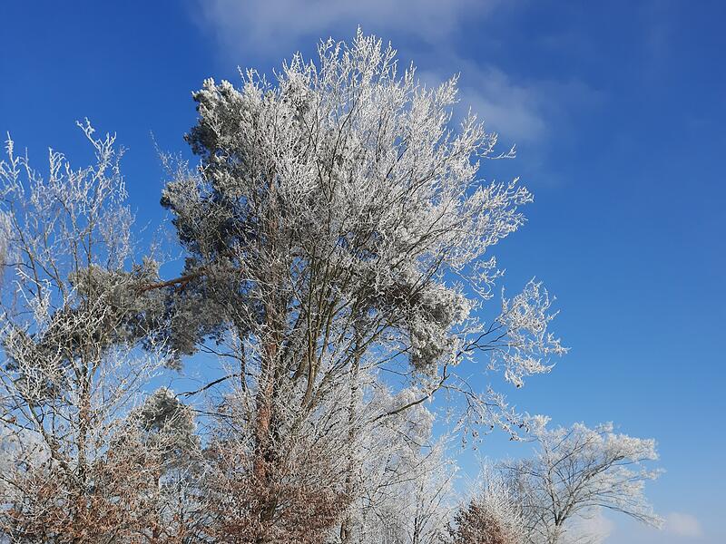 Das Foto zeigt eine Winterlandschaft in Eltingshausen.