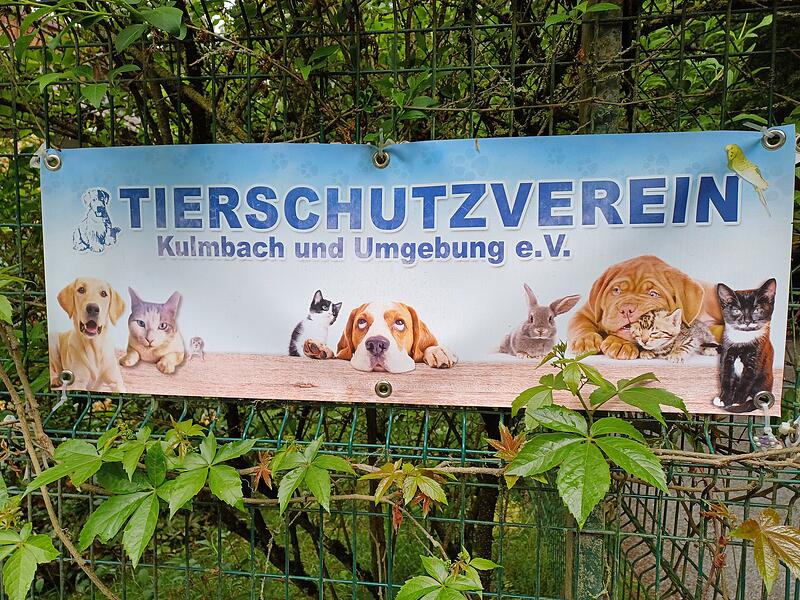 Tierheim Kulmbach