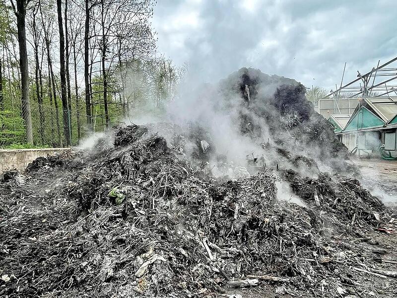 Lange g&auml;rten die &Uuml;berlegungen vor sich hin, wie man den Biom&uuml;ll sauber bekommt &ndash; jetzt hat der Abfallwirtschaftsbetrieb eine L&ouml;sung gefunden.