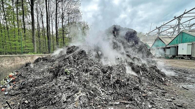 Lange g&auml;rten die &Uuml;berlegungen vor sich hin, wie man den Biom&uuml;ll sauber bekommt &ndash; jetzt hat der Abfallwirtschaftsbetrieb eine L&ouml;sung gefunden.