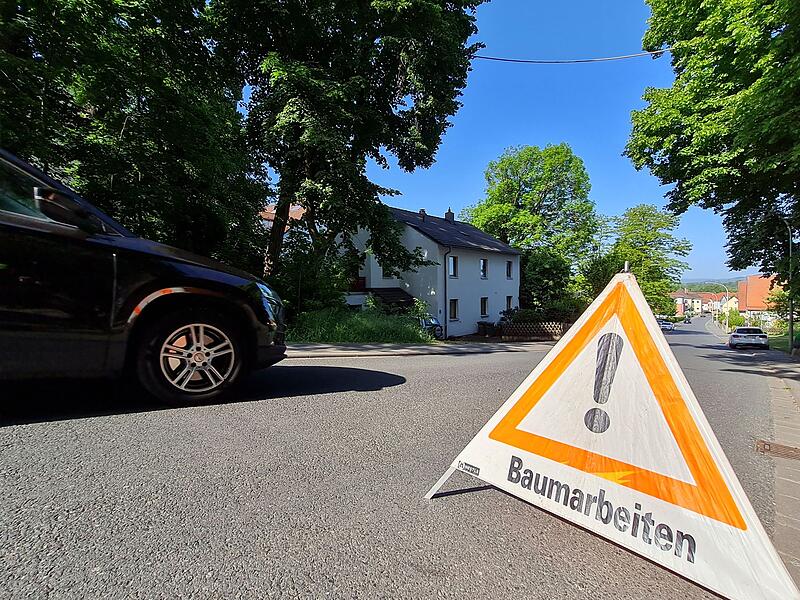 Eichhörnchenbrücke soll Leben retten Eichhörnchenbrücke soll Leben retten