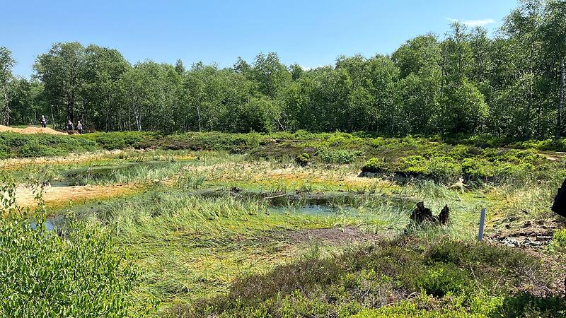 Rotes Moor in der Rh&ouml;n