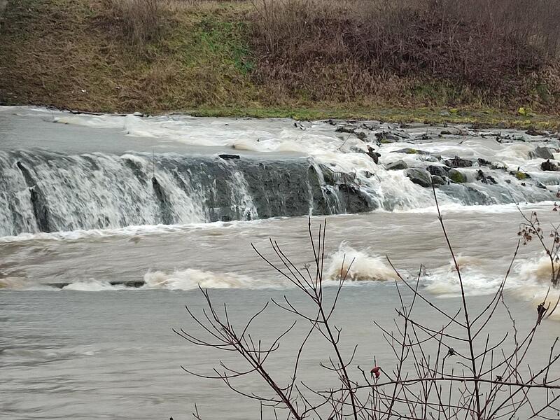 So sieht die Trubach in Forchheim aktuell aus.Forchheim & Fränkische Schweiz