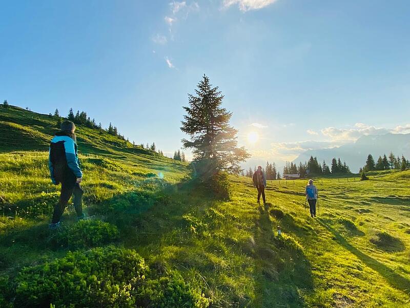Faszination Berge: So sch&ouml;n ist es auf der Klingelbergalm M&uuml;hlbach