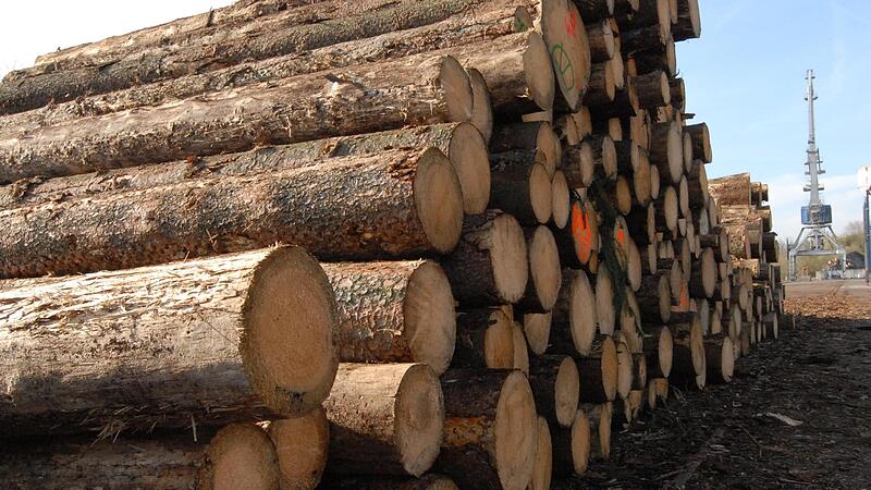 Wie lange k&ouml;nnte man damit wohl heizen? Pustekuchen! Der Hafen in Zeil ist Umschlagplatz f&uuml;r Holztransporte vor allem nach &Ouml;sterreich.