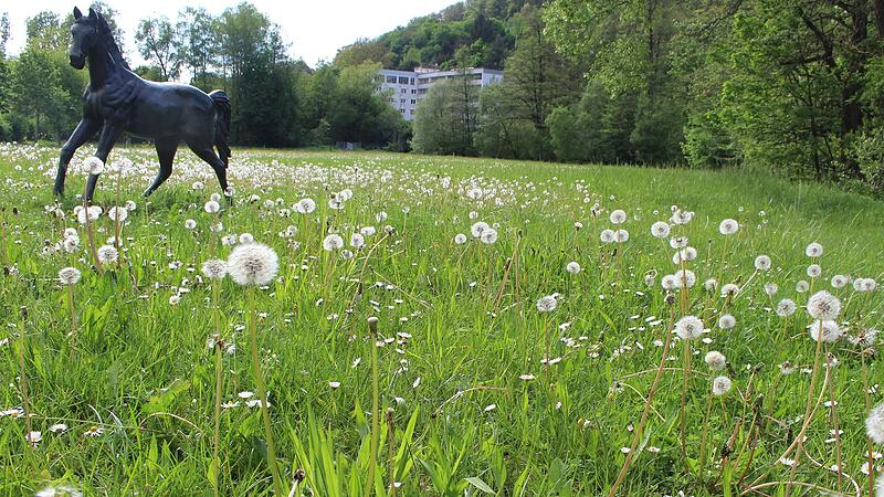 Auf der Fl&auml;che zwischen Sinn, Bauhof und Backhaus soll ein Naturlehrgarten mit Wasserzugang entstehen.
