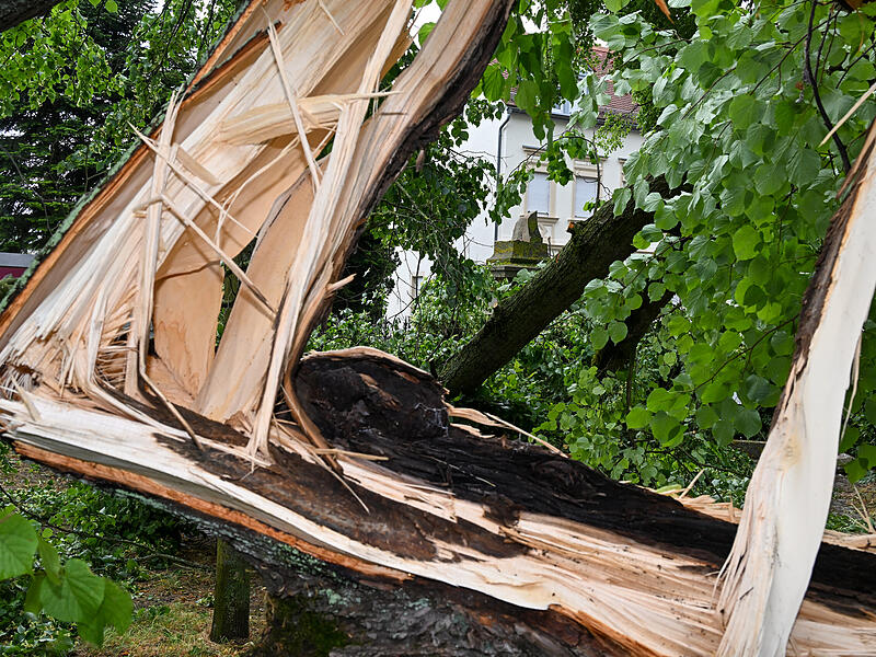 Sturmschäden LaurenziplatzSturmschäden am Laurenziplatz u.a.