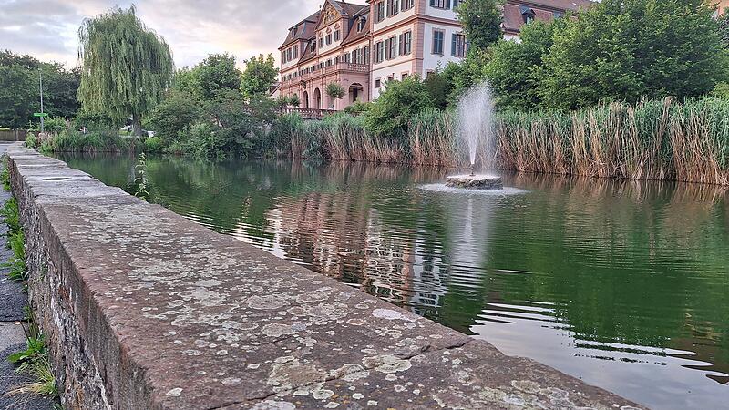 Weiher am Bleichrasen in Hammelburg: CBB will Warnschilder