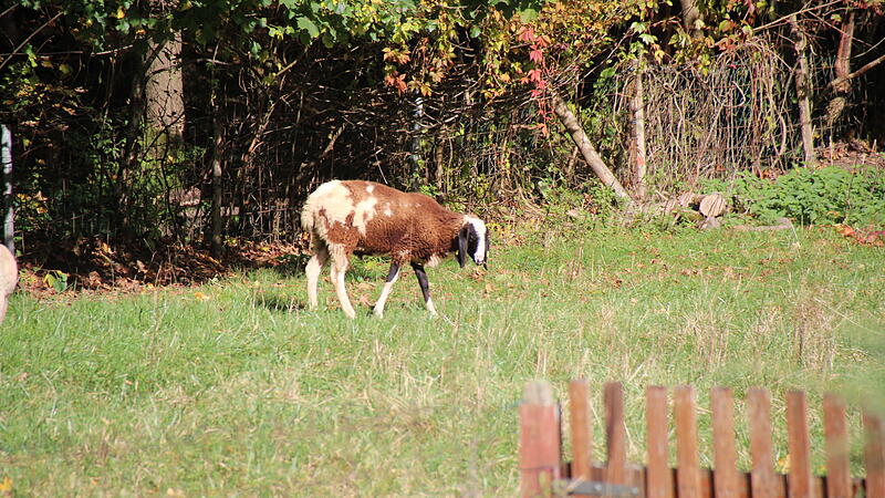 Die letzten Sonnenstrahlen im Herbst werden genossen.