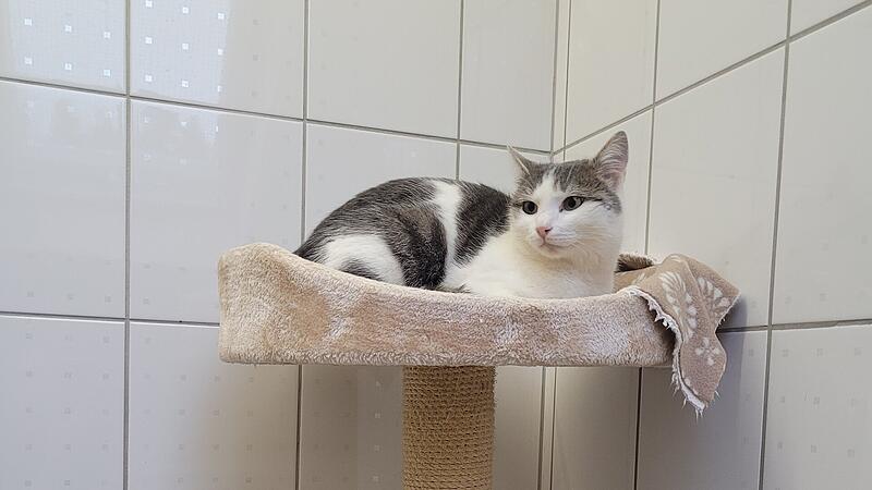 Max und Moritz: Sie verursachen viel weniger &Auml;rger als der Name suggeriert.