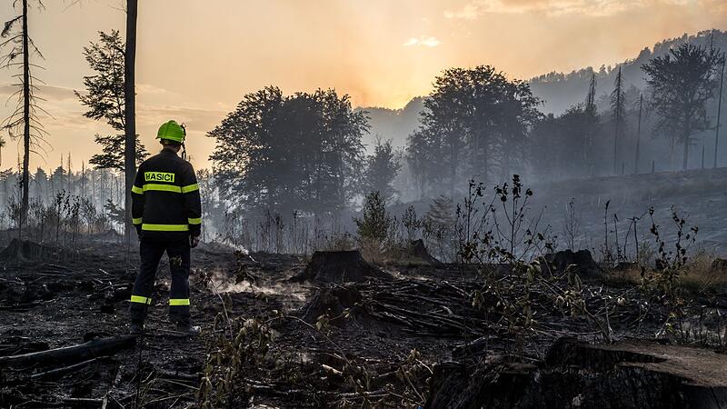 Waldbrand im Nationalpark Böhmische Schweiz