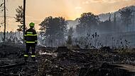 Waldbrand im Nationalpark Böhmische Schweiz