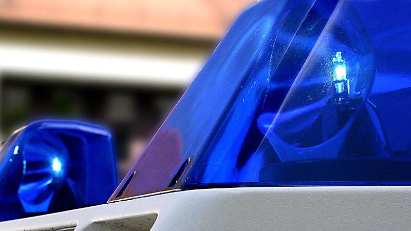Bei einem Unfall auf der B303 im Landkreis Coburg wurde in Hund get&ouml;tet