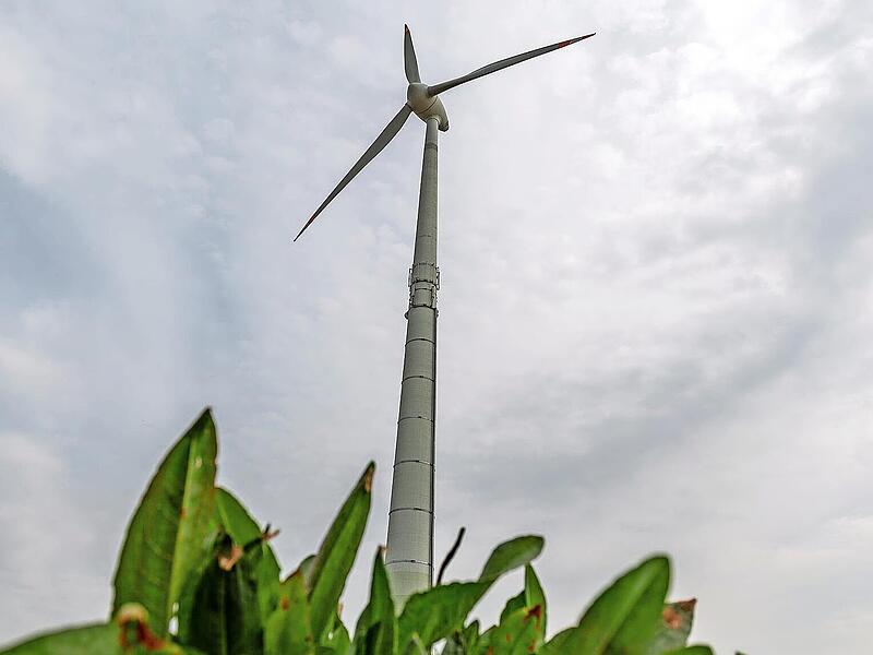 Windr&auml;der wie dieses in Kasberg bei Gr&auml;fenberg m&ouml;chte die Gemeinde Eggolsheim auf der Langen Meile zwischen Eggolsheim und Ebermannstadt bauen.