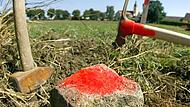 Die Grenzfälle im Osterfeld ziehen weite Kreise.