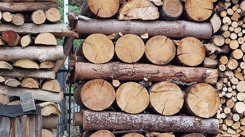 Holz sollte richtig gestapelt werden, damit es nicht schimmelt.