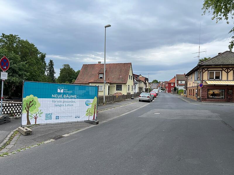 Baumpflanzung in der Hausener Straße Baumpflanzung in der Hausener Straße
