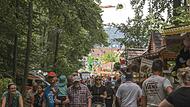 Zehntausende feiern ausgelassen auf dem Annafest und doch sinken im Landkreis die Inzidenz-Zahlen. Warum es für eine Entwarnung aber noch zu früh ist.Forchheim & Fränkische Schweiz Zehntausende feiern ausgelassen auf dem Annafest und doch sinken im Landkreis die Inzidenz-Zahlen. Warum es für eine Entwarnung aber noch zu früh ist.Forchheim & Fränkische Schweiz