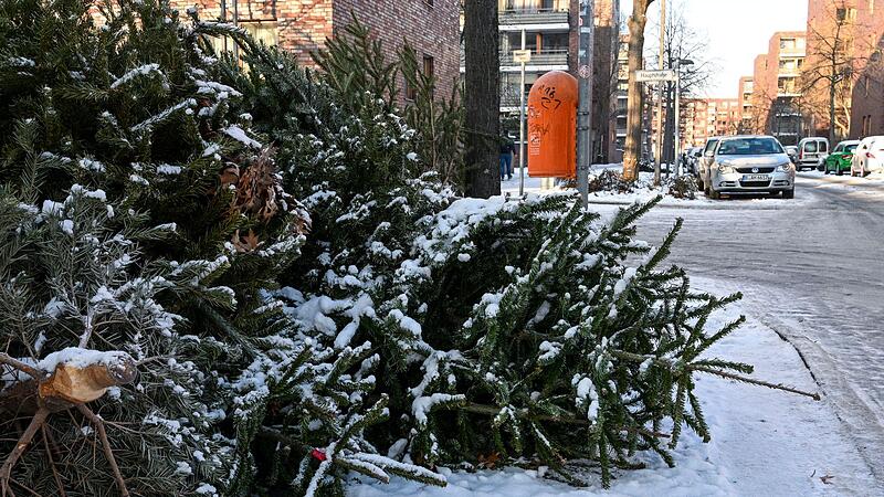 Entsorgte Weihnachtsb&auml;ume