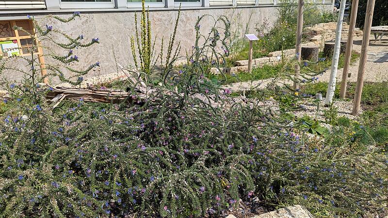 Das G&auml;rtla am Kulmbacher LandratsamtDas G&auml;rtla am Kulmbacher Landratsamt