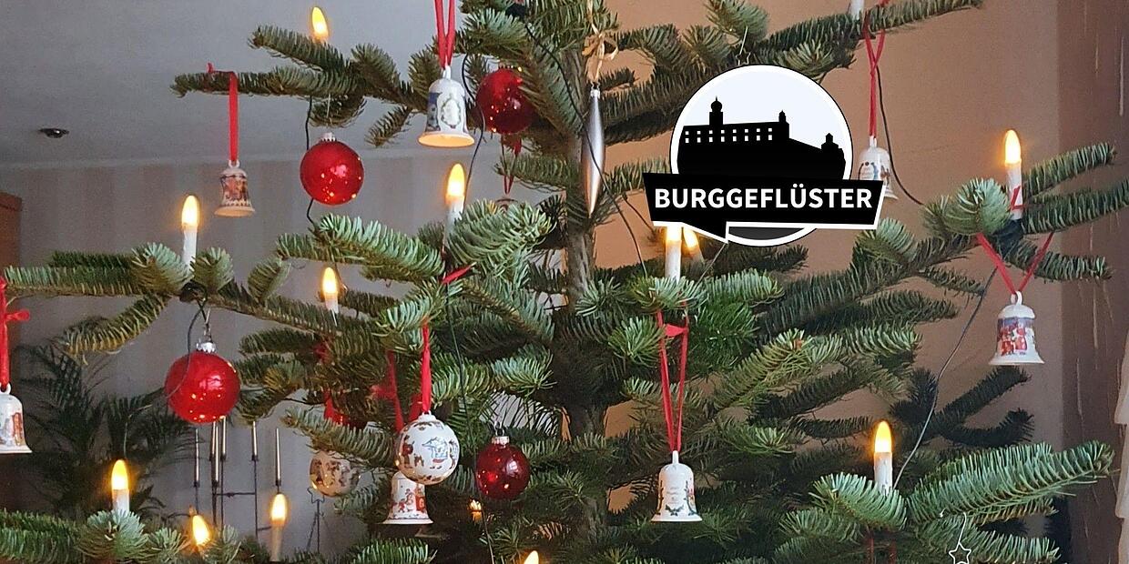 Weihnachtsbäume werden auch im Kulmbacher Land immer früher aufgestellt
