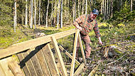 Vandalismus im WaldVandalismus im Wald Vandalismus im Wald