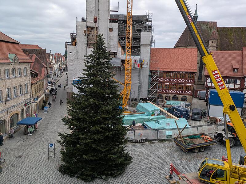 Der Forchheimer Weihnachtsbaum 2025 steht seit Dienstagvormittag um 11.11 Uhr auf dem Rathausplatz.Forchheim & Fränkische Schweiz Der Forchheimer Weihnachtsbaum 2025 steht seit Dienstagvormittag um 11.11 Uhr auf dem Rathausplatz.