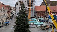 Der Weihnachtsbaum 2025 steht seit Dienstag Vormittag um 11.11 Uhr auf dem Rathausplatz.Forchheim & Fränkische Schweiz Der Forchheimer Weihnachtsbaum 2025 steht seit Dienstagvormittag um 11.11 Uhr auf dem Rathausplatz.