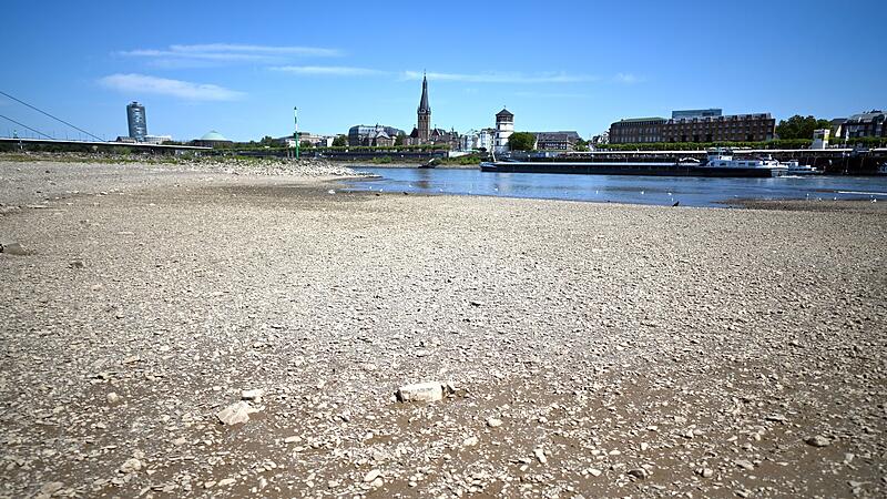 Niedrigwasser im Rhein Niedrigwasser im Rhein