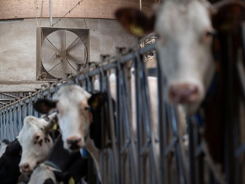 Trockenheit in der Landwirtschaft