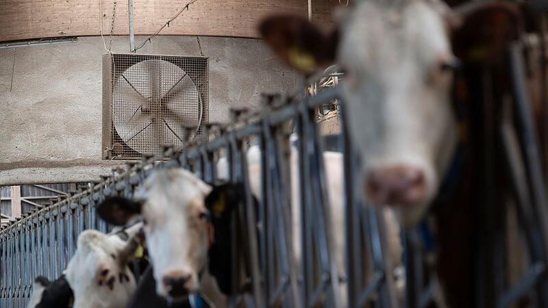 Trockenheit in der Landwirtschaft