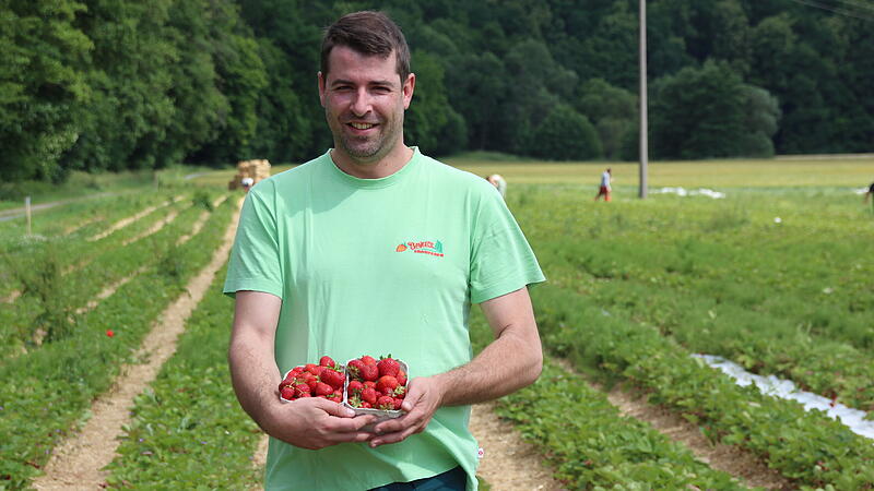 Erdbeer Bayer - Josef Bayer aus Kronach im Erdbeer-Selbstpfl&uuml;ckfeld
