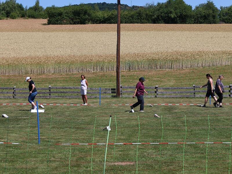 Turnier   des  Gebrauchs- und Schutzhundevereins  Bad Kissingen