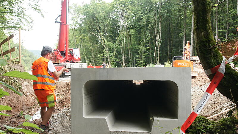 Hammelburger Berg bei Bad Br&uuml;ckenau: Baustelle im Plan