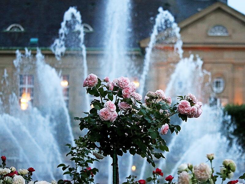 Rosengarten
