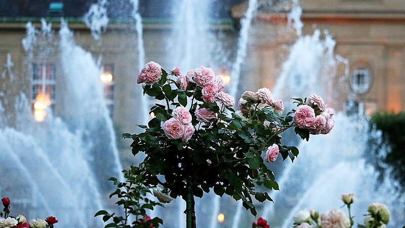 Rosengarten