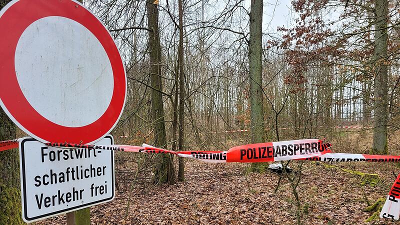 In diesem Waldst&uuml;ck zwischen Peesten und Lopp wurde die Leiche gefunden.