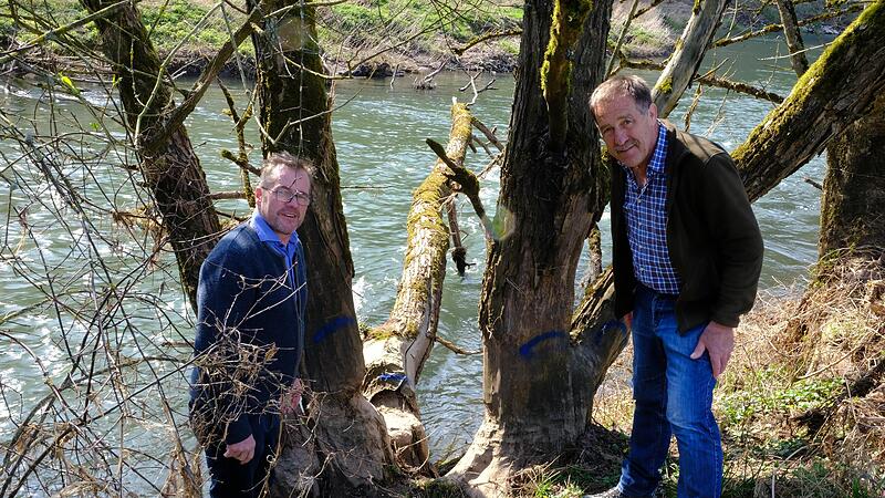 Edgar Thomas (links) und Albrecht Leurer inspizieren  eine Gefahrenstelle in der Saale. Hier blockiert ein umgefallener Baum den Strom.