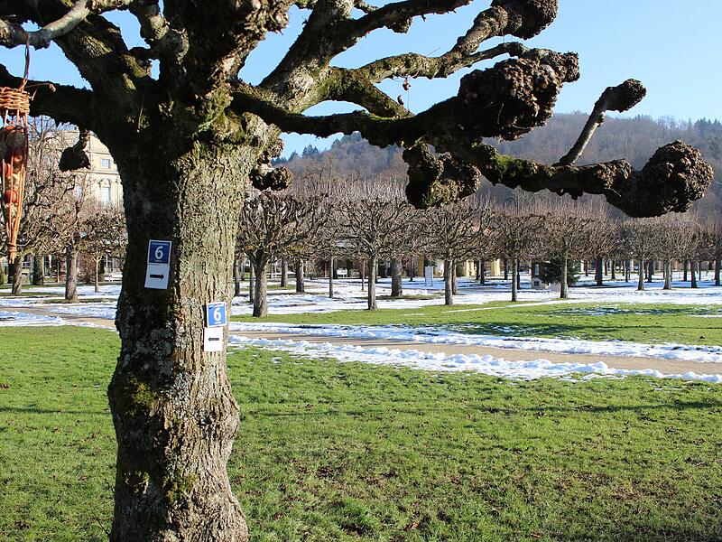 Der Schlosspark des Staatsbades Bad Brückenau im Winter. Der Schlosspark des Staatsbades Bad Brückenau im Winter.