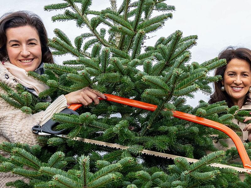 Eröffnung bayerische Christbaumsaison