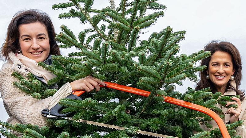 Eröffnung bayerische Christbaumsaison Eröffnung bayerische Christbaumsaison