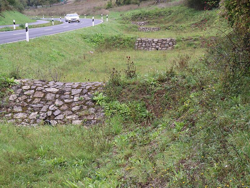 Die kaskadierten Becken dienten nicht für das Sturzflut-Risikomanagement, sagte Brodrecht. Sie seien Ausgleichsmaßnahmen für die Sanierung der Straße gewesen.
