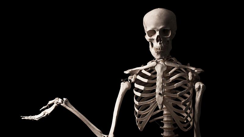 Wer im Landkreis Erlangen-Höchstadt einen Termin beim Facharzt braucht, muss Geduld haben. Wer im Landkreis Erlangen-Höchstadt einen Termin beim Facharzt braucht, muss Geduld haben.