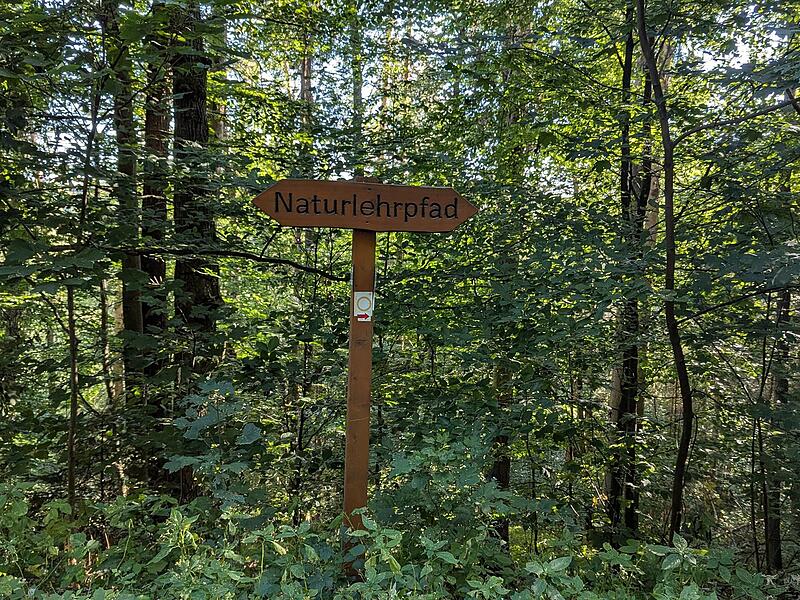 Naturlehrpfad RehbergNaturlehrpfad Rehberg