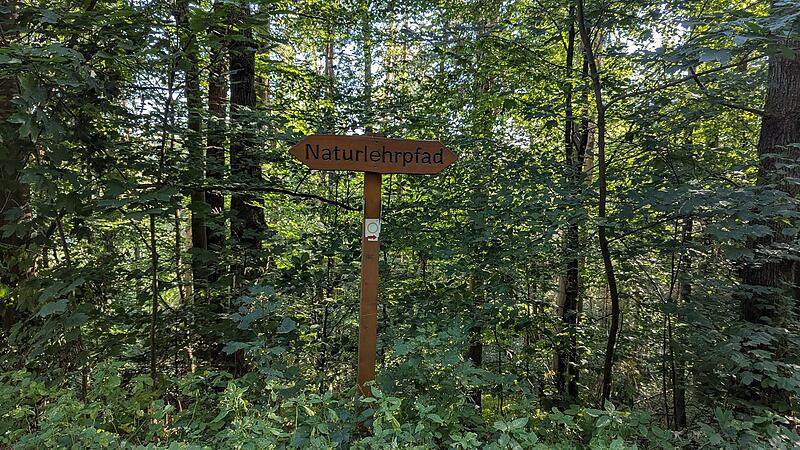 Naturlehrpfad RehbergNaturlehrpfad Rehberg