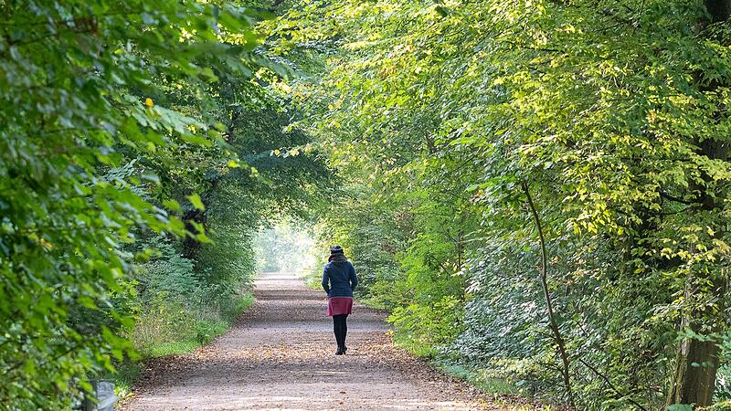 In der Dunkelheit möchten viele Frauen nicht mehr durch den Hain laufen.