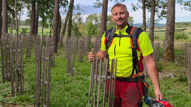 Wuchsh&uuml;lle Baum