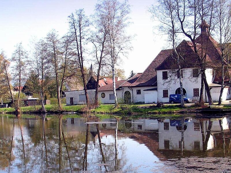 Fischereigemeinschaft am Waldfriedensee wird immer wieder zum Opfer